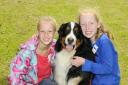 Emma Underwood 9 and Joan Whybrow 10 with Buffy the Bernese Mountain dog, from Bexley, entered for the Cougar category