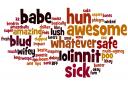 A word cloud showing replies to the question 'what are the most annoying words?'