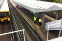 A woman has died after she was hit by a train at Petts Wood station