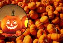 Best pumpkin patches near South East London for Halloween (Canva)