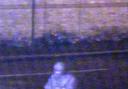 CCTV still of Night Stalker Delroy Grant in Shirley in 2009