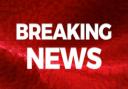 Chestnut Rise Plumstead: Man, 64, found dead