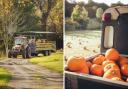 4 places to go pumpkin picking within an hours drive of south east London.