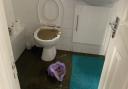 Sewage spills out of Lewisham toilet into flat's only bathroom 'for nearly a week'