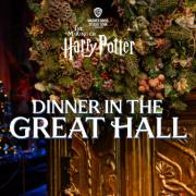 Harry Potter Studios are hosting three nights where people can have dinner in the Great Hall (Harry Potter Studios)