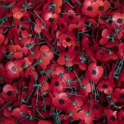 Poppies are a symbol of remembrance.
