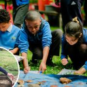 Schools, volunteers and members of the public are invited to join in the ongoing archaeological digs at Greenwich Park.
