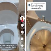 This hilarious viral TikTokker reviews London’s weird and wonderful toilets. Photos from @loos_of_London TikTok account.