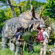 The walk-through Dinosaurs in the Park experience will display creatures from the Jurassic, Triassic and Cretaceous periods