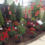Garden centre remembers the war