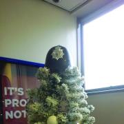The Christmas tree at Bexley police station
