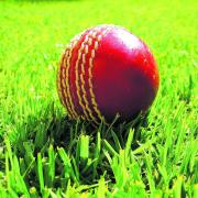 Has shine come off our cricket?