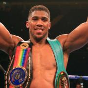 Anthony Joshua defends his IBF World Heavyweight Title at The O2