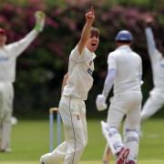 GALLERY: Overseas star hits fine fifty as Bexley brush aside Vine