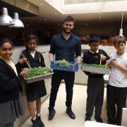 Charlton Manor school goes into the veggie business