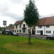 PubSpy reviews The Plough Inn, Eynsford