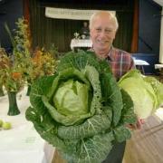Trophy winner Doug Wingrave with prize-winning cabbages