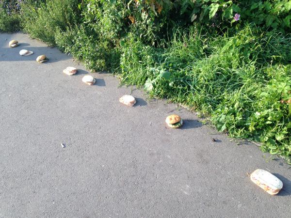 http://www.newsshopper.co.uk/news/11467269.Mysterious_trail_of_sandwiches_found_in_Brockley/