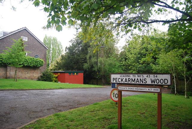 Peckarmans Wood, Sydenham Hill – photo by N Chadwick