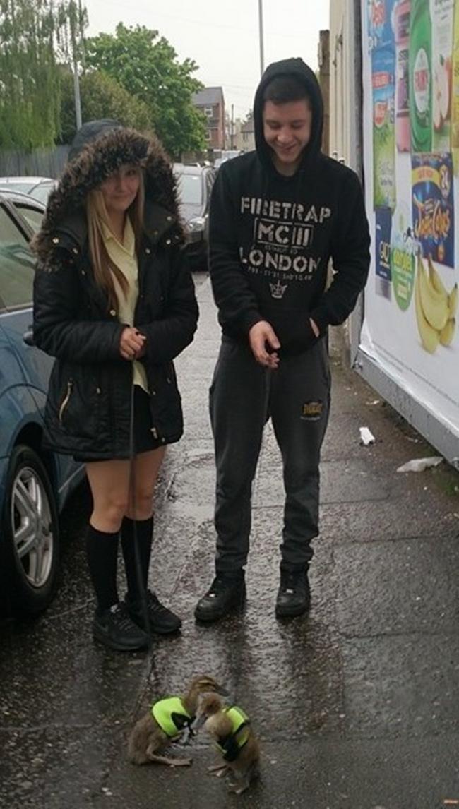 Back in 2014, News Shopper tracked down 14-year-old Katie Connolly, who had been seen walking her pet duck through Gravesend with boyfriend Jack Price