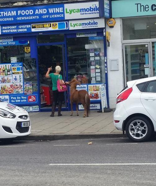 Shoppers were treated to an unusual sight, when a small chestnut pony was seen on Eltham High Street. The fun-sized four-legged animal stopped outside Eltham Food and Wine, possibly for a packet of polo