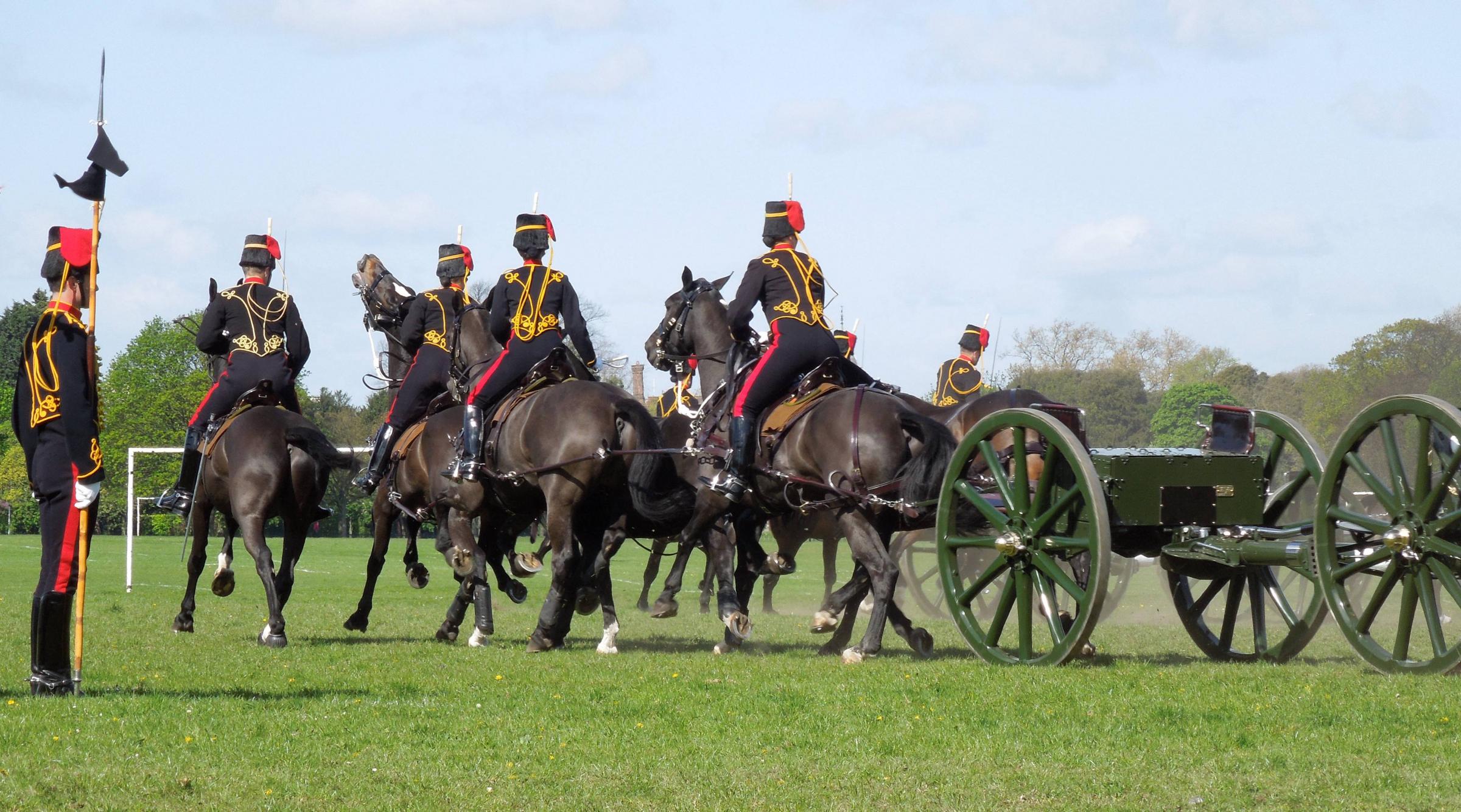 King's Troop soldier taken to hospital with serious injuries after being 'thrown off her horse' in Charlton Park