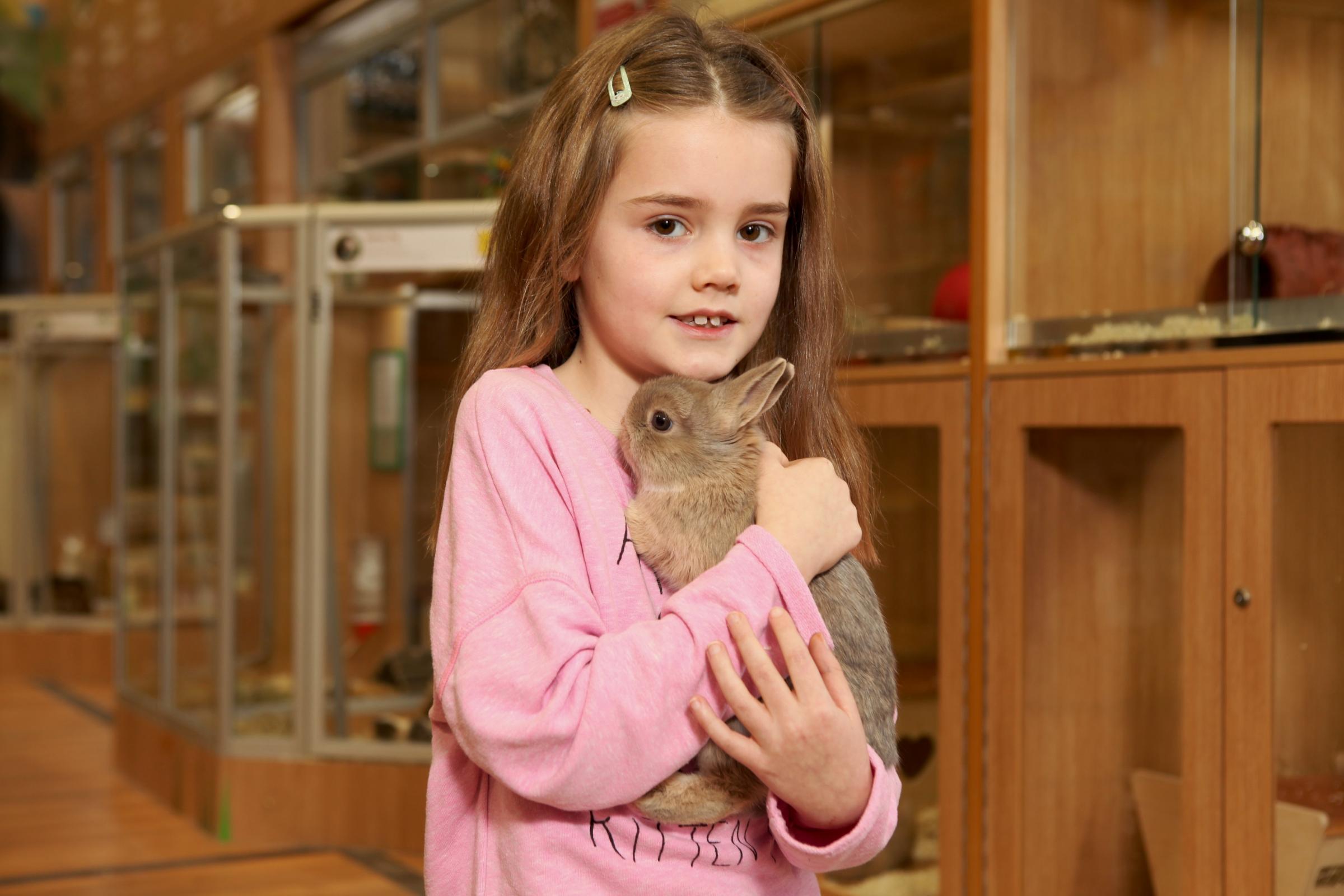 Pets at Home to STOP selling rabbits over Easter - here's why
