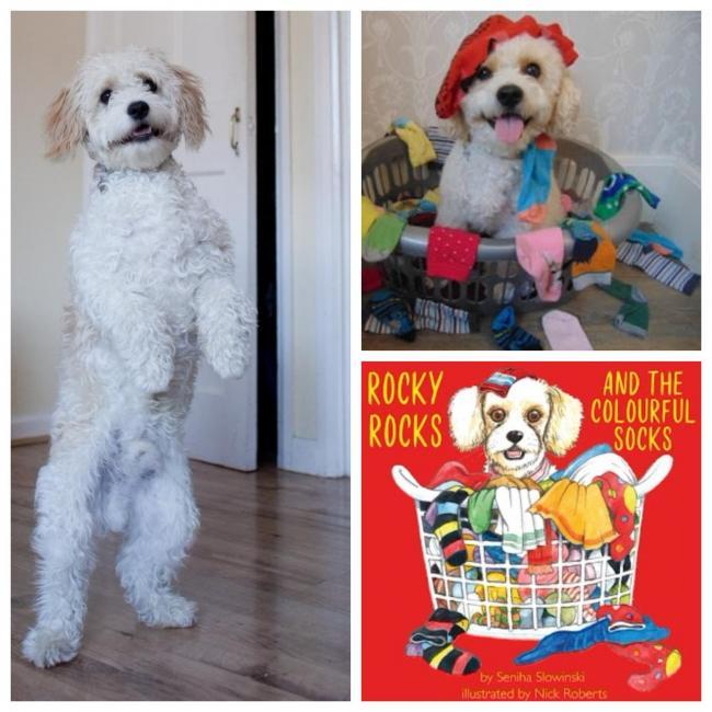 'Mottingham's most famous dog' Rocky is now the star of a new children's book
