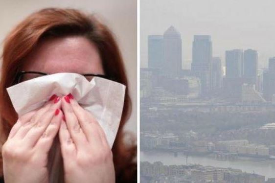 'Pollen bomb' hits UK bringing misery to millions of asthma sufferers