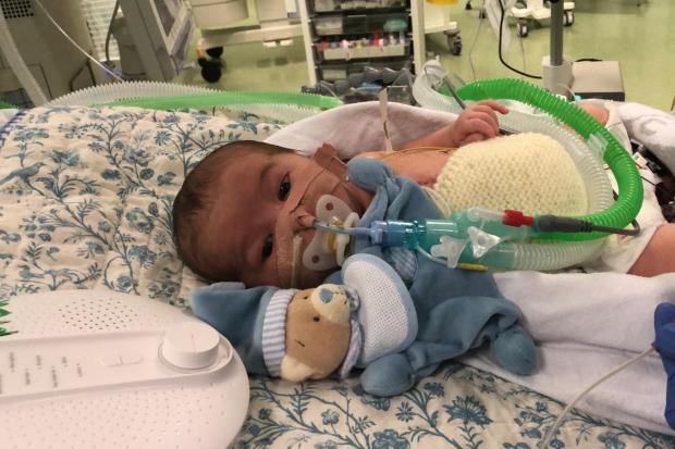 Theo was sent to the Paediatric Intensive Care Unit at Evelina Hospital. Photo: Amanda Chamming's