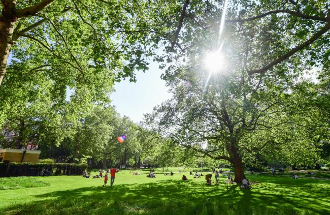 Met Office forecasts sunshine this weekend in south London