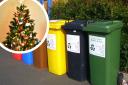 See when you're festive bin collection day. (Canva)