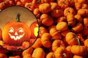 Best pumpkin patches near South East London for Halloween (Canva)