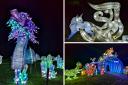 Crystal Palace Park’s Lightopia lantern festival will NOT run this year – here’s why