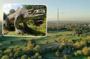 This £17.5M project includes the restoration of the Grade I listed Crystal Palace dinosaurs and the landscaping around their islands as well of the regeneration of the Italian Terraces