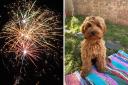 If you're dreading Bonfire Night for the sake of your pets this year, you are not alone