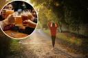 The top five Autumn walks with a pub pit stop in Bromley