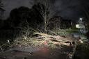 South east London roads closed by fallen trees after Storm Isha