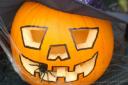 Things that grow bump in the night - Halloween gardening tips from expert George Long