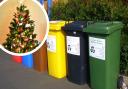 See when you're festive bin collection day. (Canva)