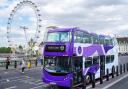 The iconic red has vanished from London buses as they get a purple makeover. (PA)