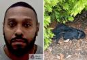Rooney Whyte threw a handgun into a bush after a police chase along the M26 and M25