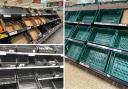 Empty shelves and no stock as the tomato shortage continues in supermarkets across south east London