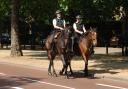 Police Horse Putney is part of the Met's mounted branch - and is retiring after a long career