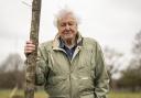 When is David Attenborough's Secret World Of Sound coming out?