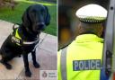 Police dog Dougal signalled and the man was searched leading to the discovery of a small packet of cocaine he dropped onto the floor