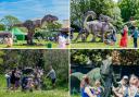 Some pictures from last year’s events in Plymouth, Manchester and Cardiff hope to give an indication of what to expect at Danson Park