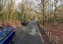 Two roads in Bromley to CLOSE for ‘fun walk’ this weekend