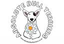 Bull terriers in fancy dress for Jubilee-themed dog funday