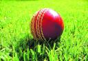 Has shine come off our cricket?